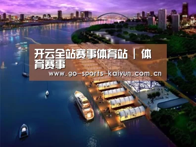 案例展示八