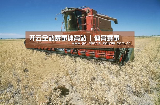 产品名称三