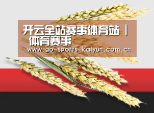 开云全站赛事体育站 | 体育赛事
