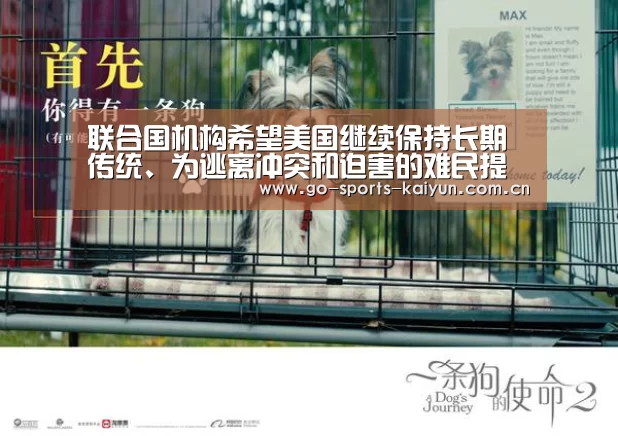 联合国机构希望美国继续保持长期传统、为逃离冲突和迫害的难民提供保护|开元棋牌电脑版(图2) 开元棋牌电脑版