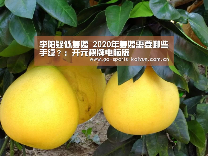 开元棋牌电脑版